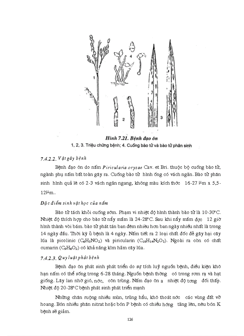 image for page Giao trinh Con trung NLN