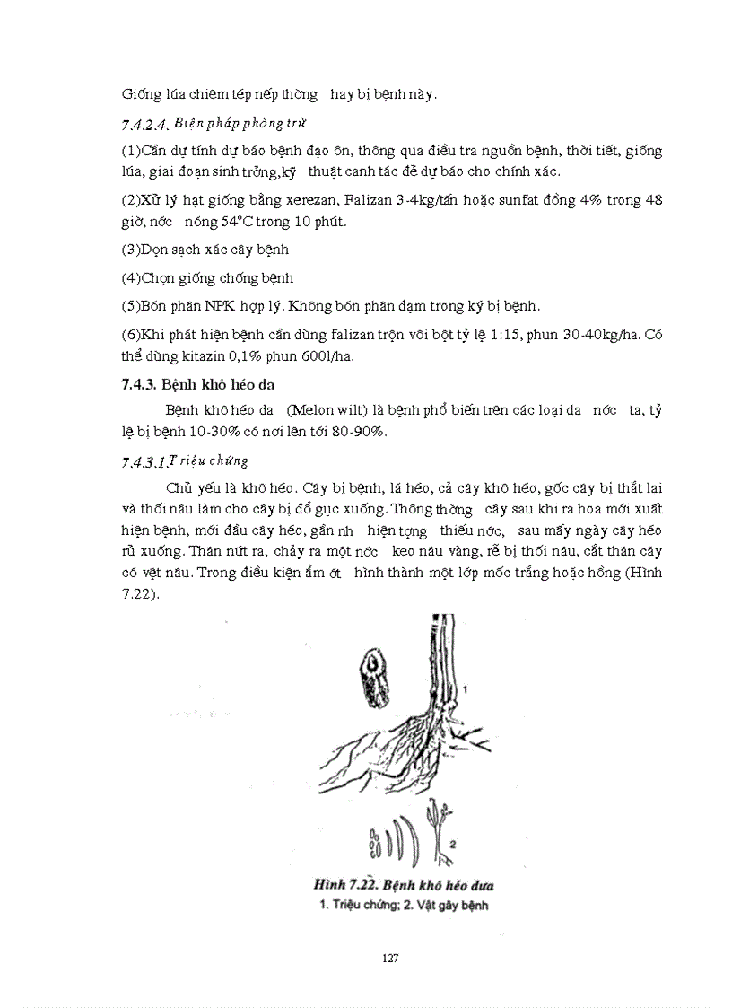 image for page Giao trinh Con trung NLN