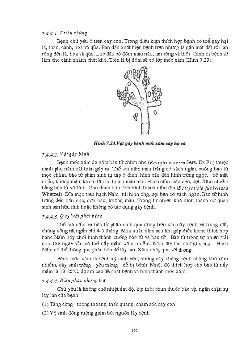 image for page Giao trinh Con trung NLN