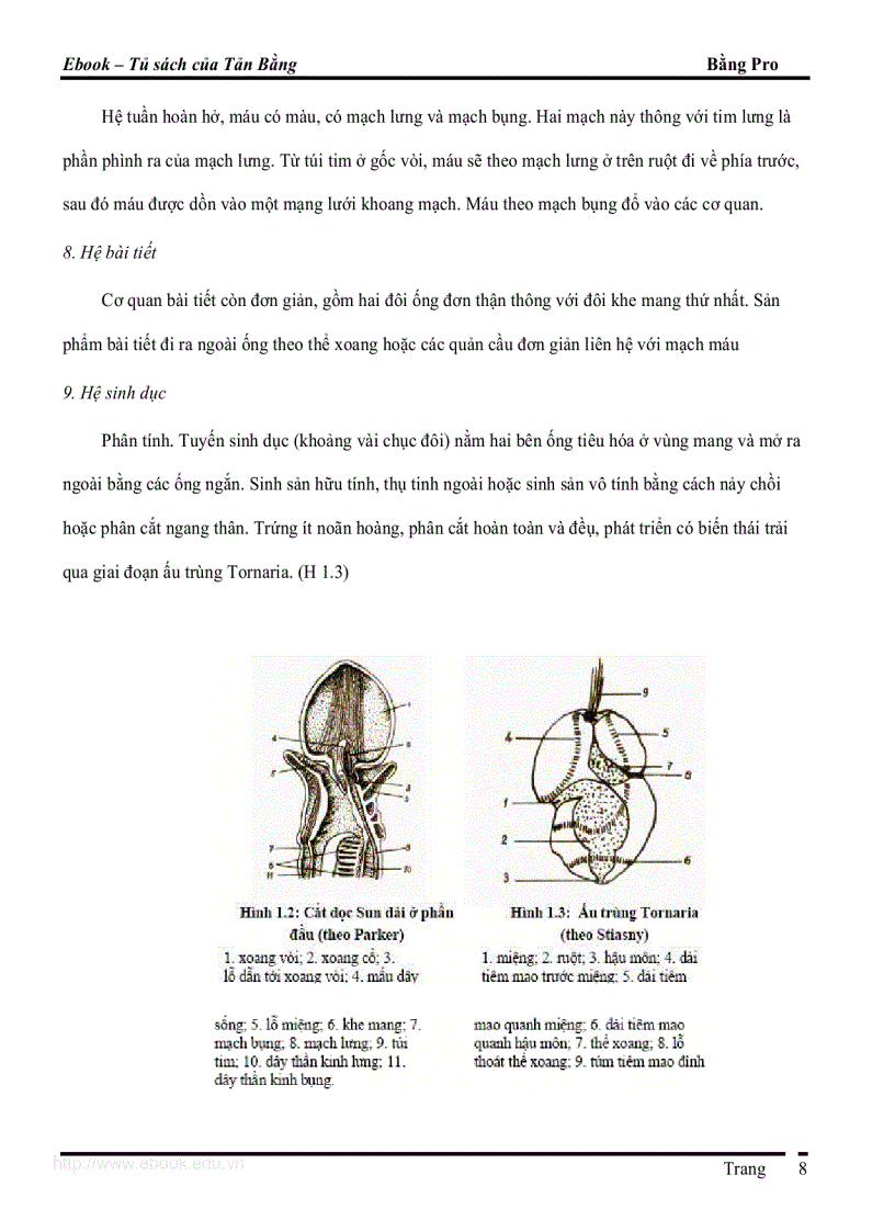 image for page Giao trinh DVCXS