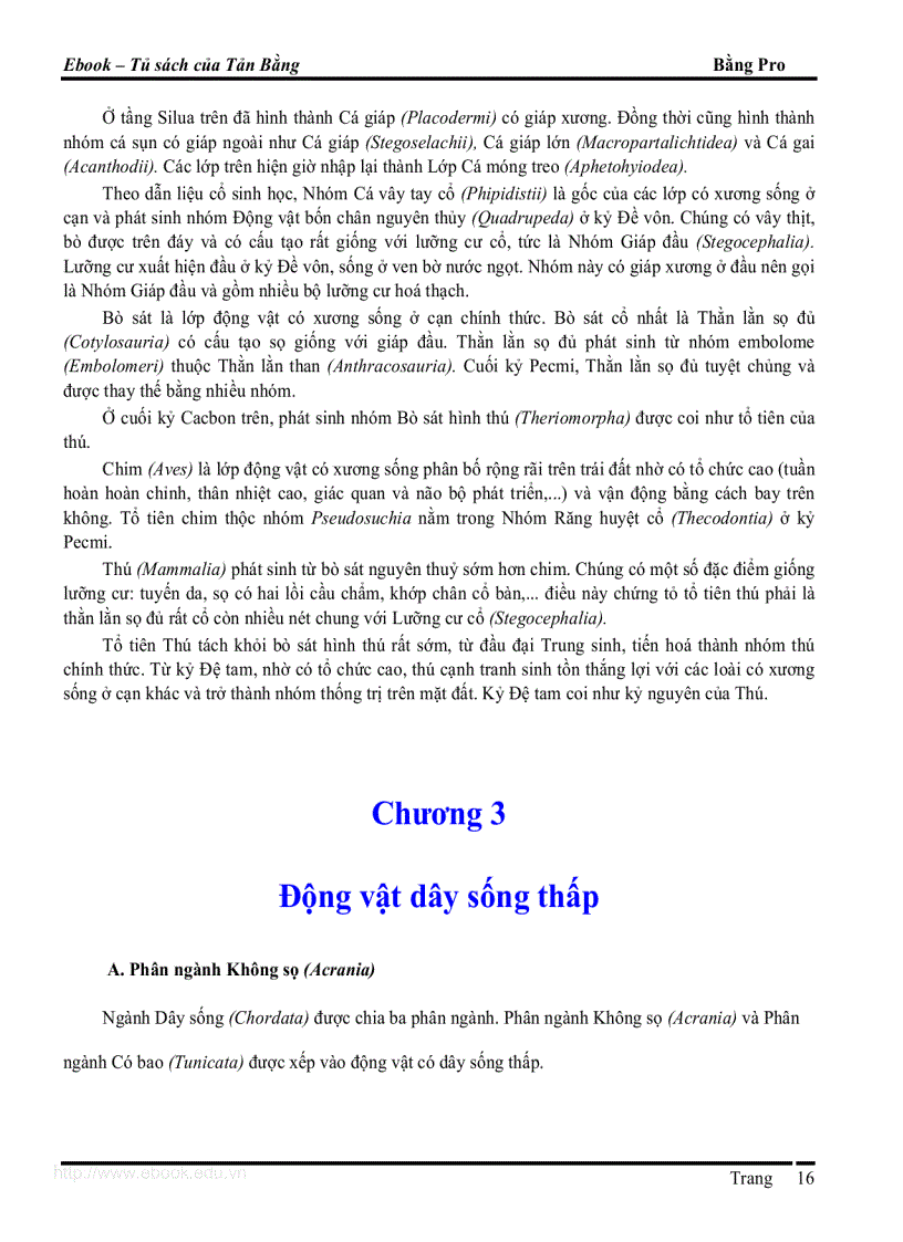 image for page Giao trinh DVCXS