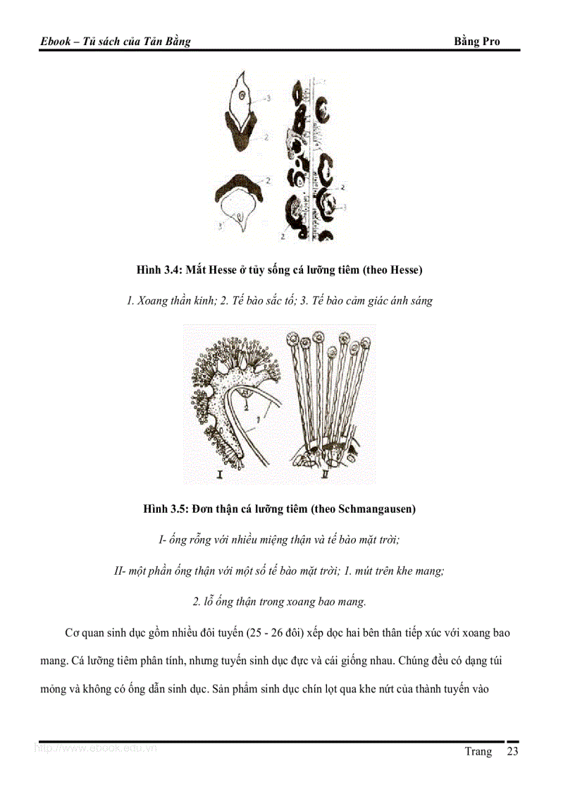 image for page Giao trinh DVCXS