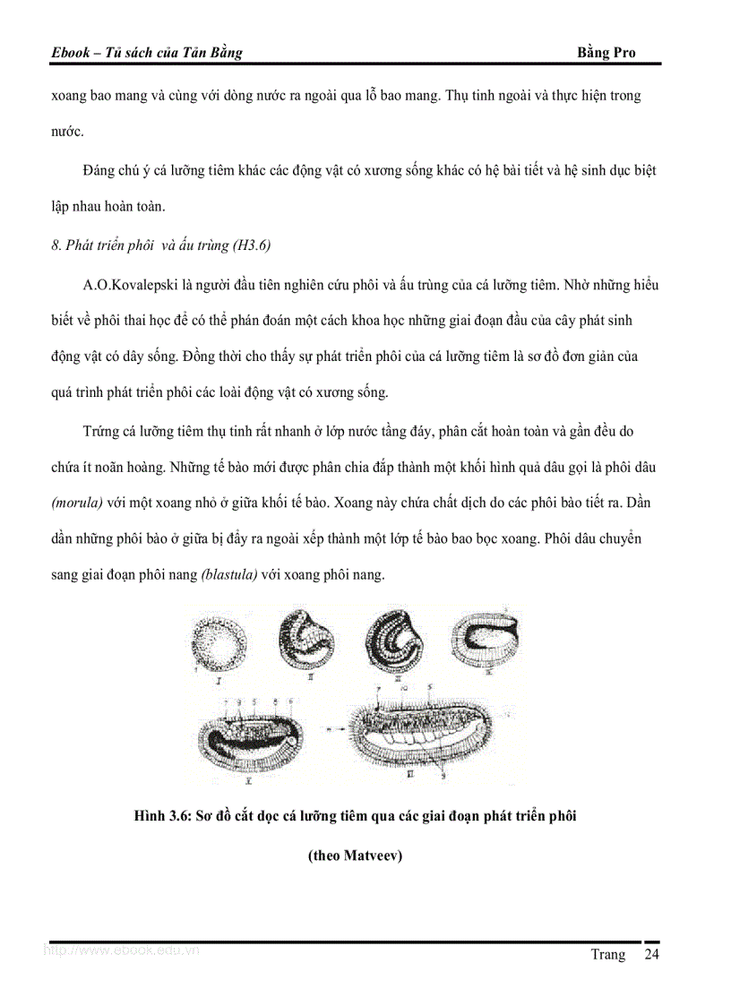 image for page Giao trinh DVCXS