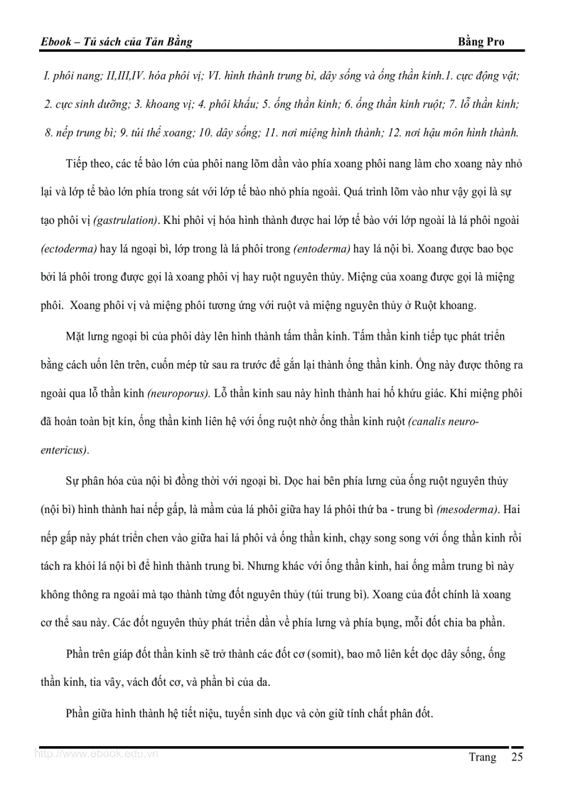 image for page Giao trinh DVCXS