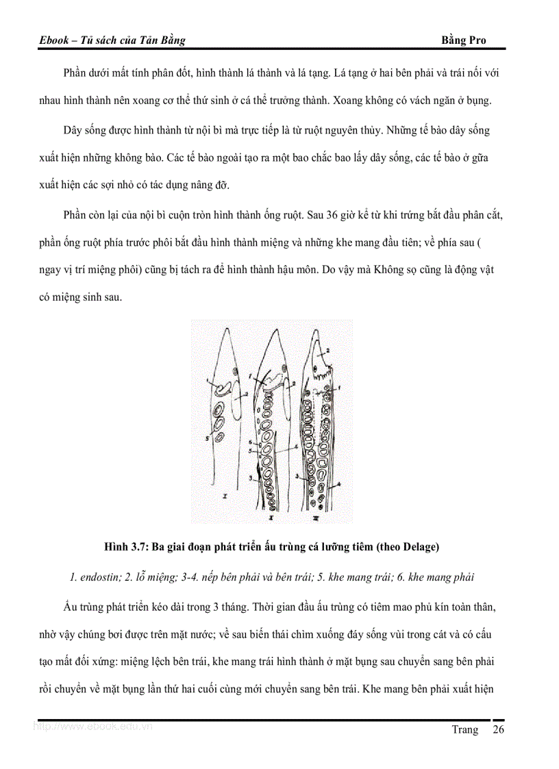 image for page Giao trinh DVCXS