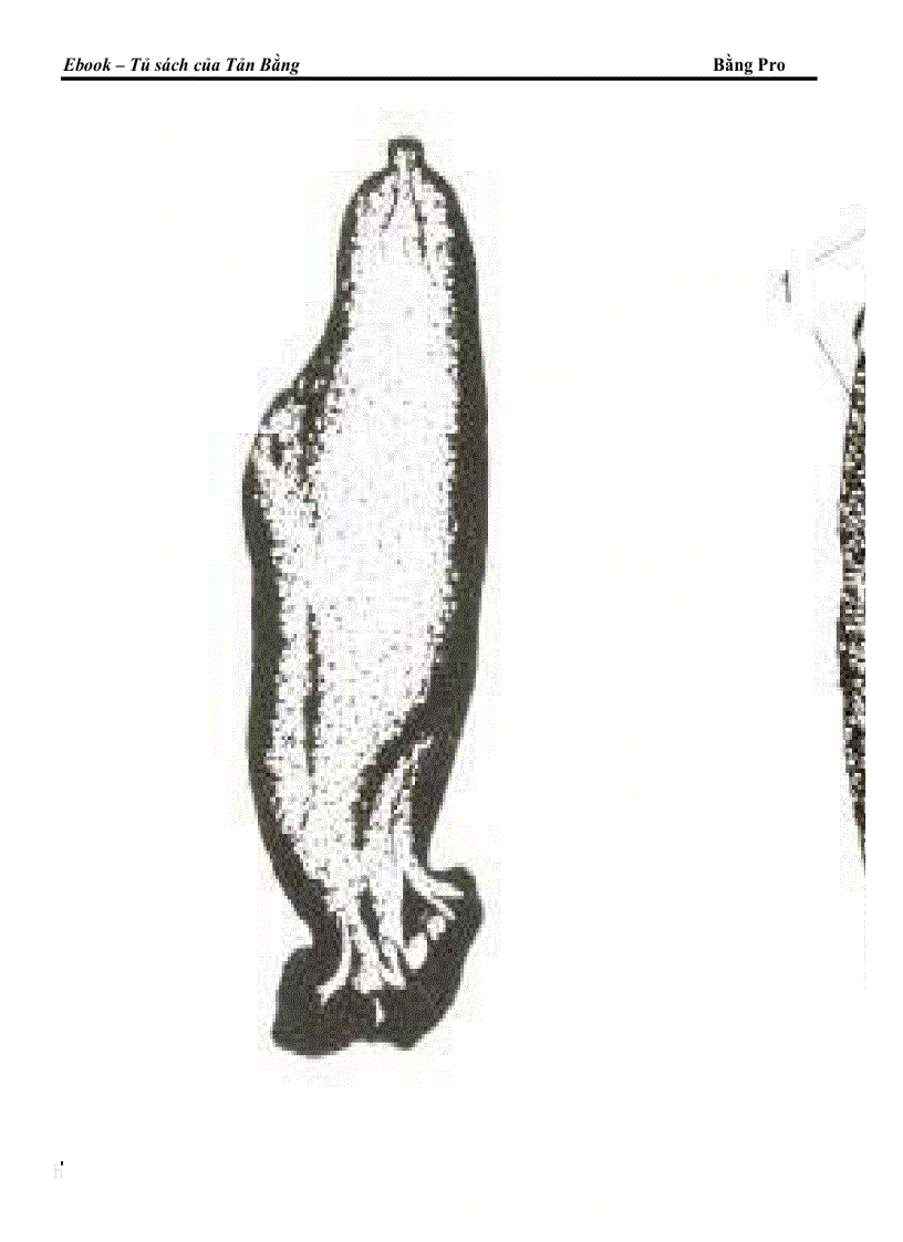 image for page Giao trinh DVCXS