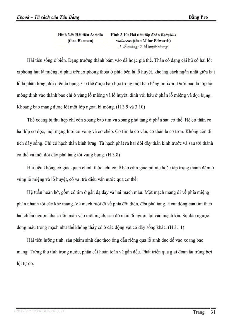 image for page Giao trinh DVCXS