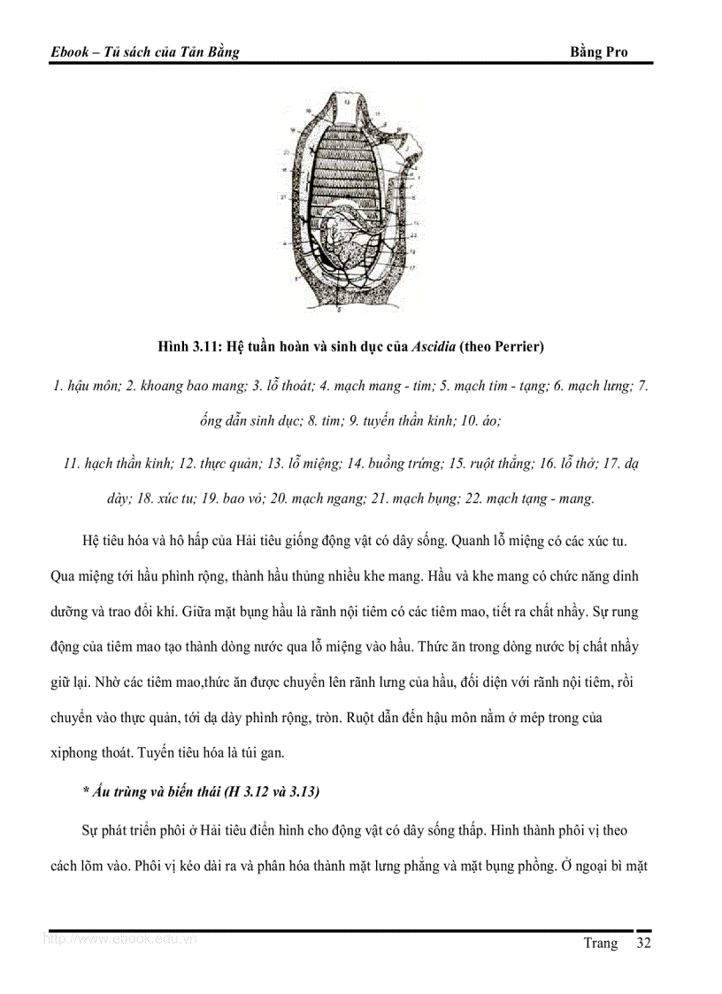 image for page Giao trinh DVCXS