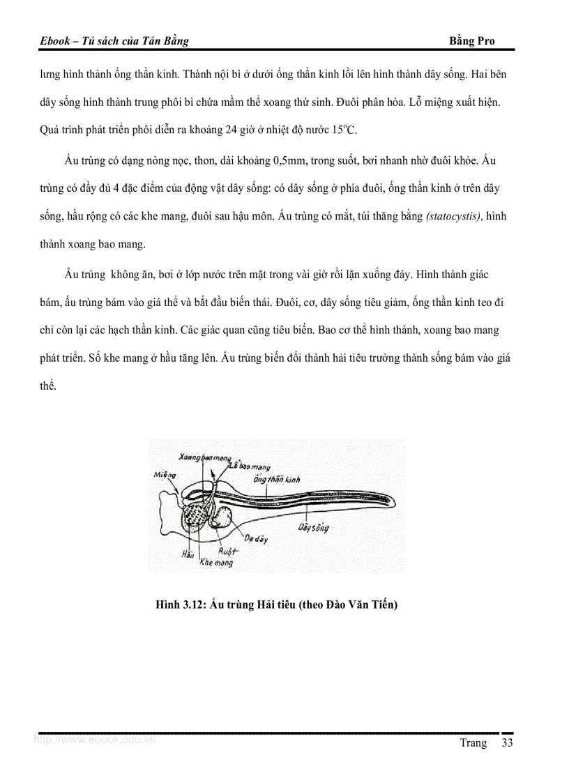 image for page Giao trinh DVCXS