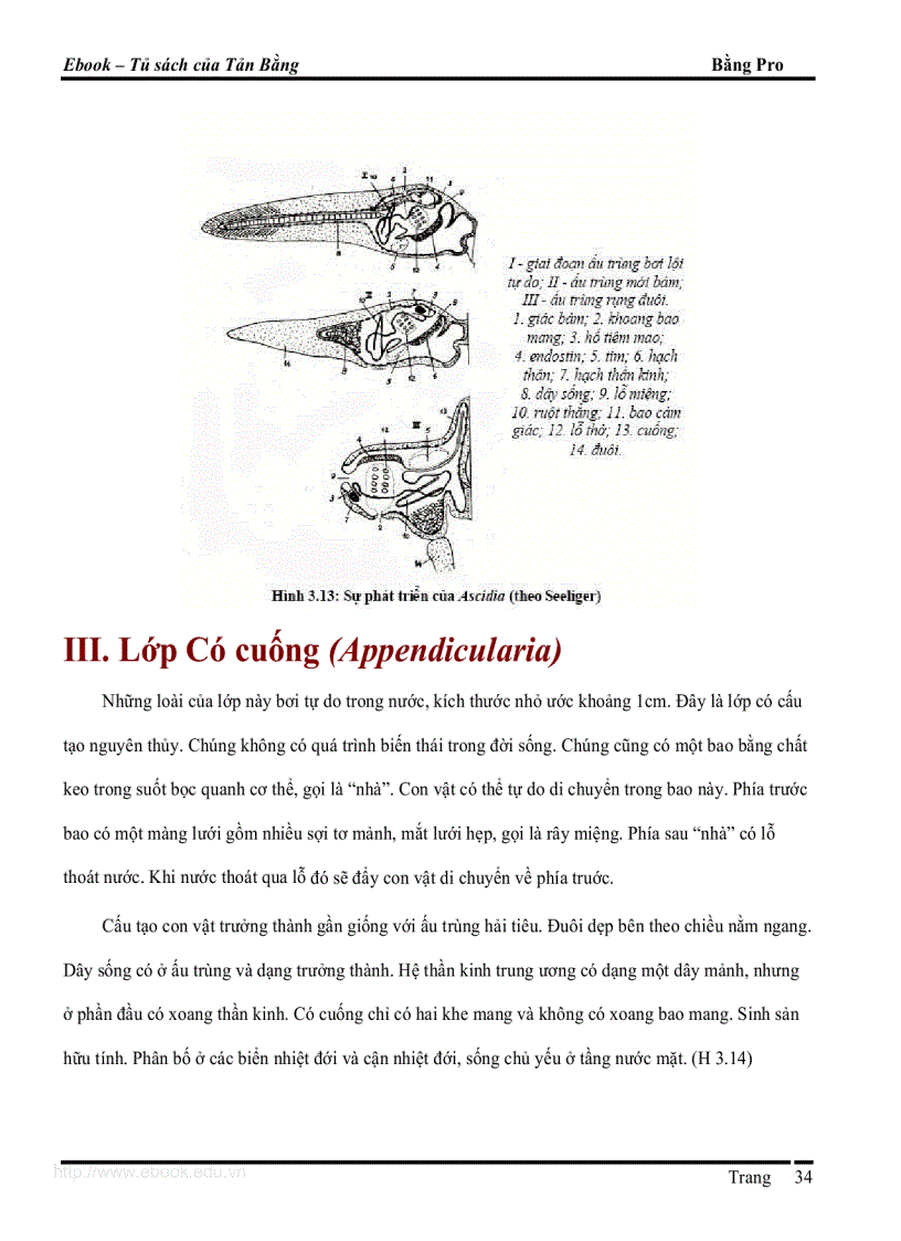 image for page Giao trinh DVCXS