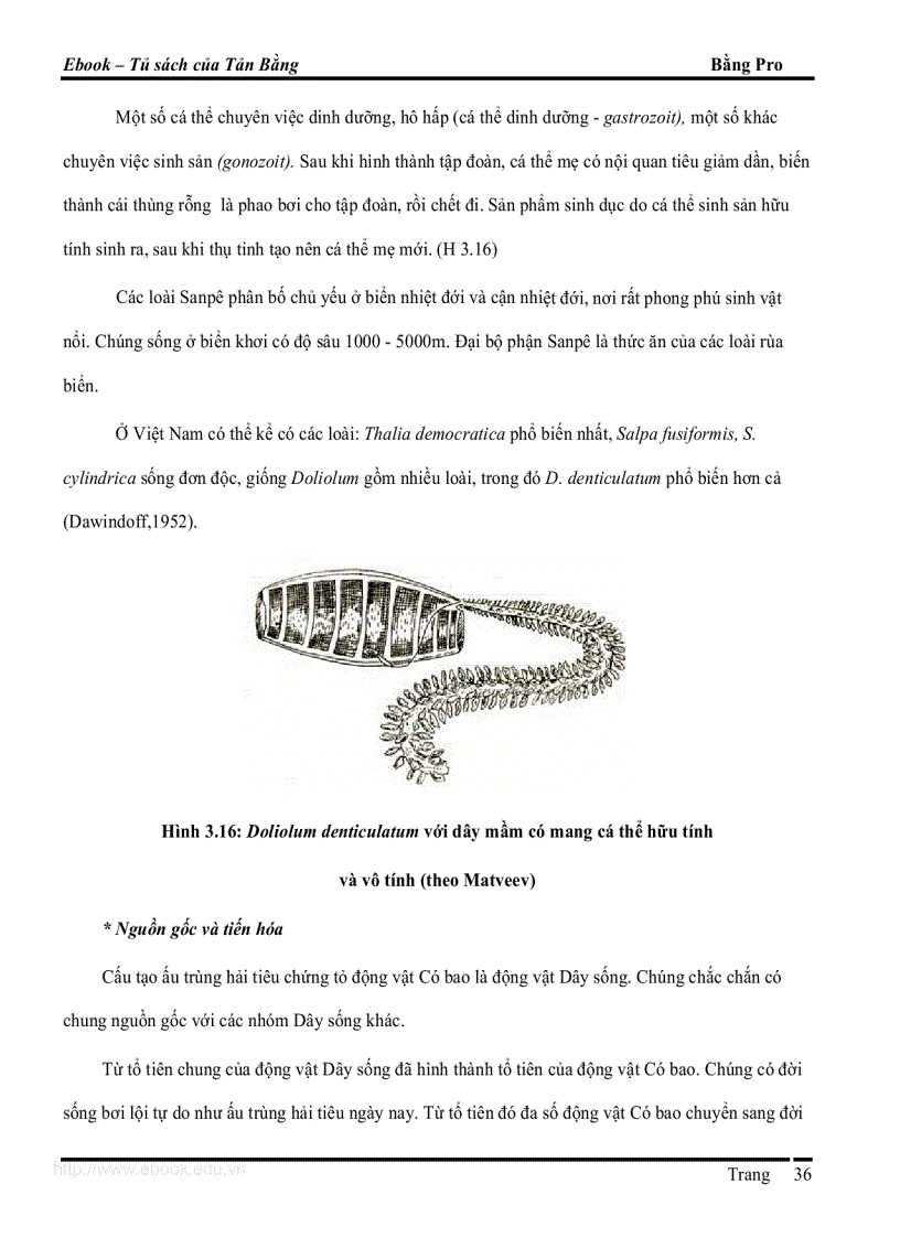 image for page Giao trinh DVCXS