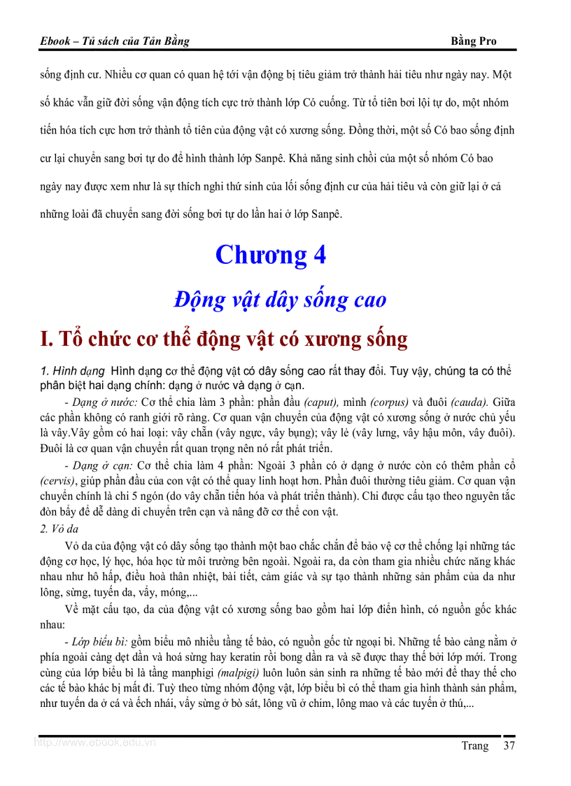 image for page Giao trinh DVCXS