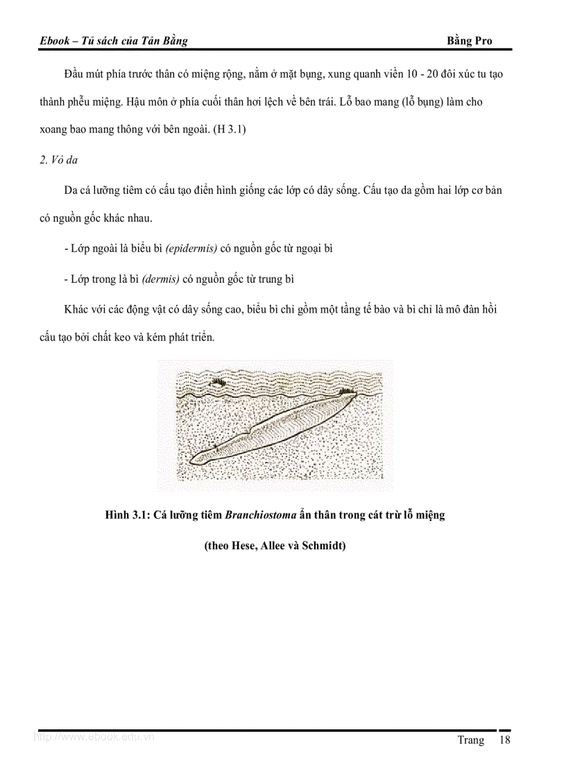 image for page Giáo trình DVKXS