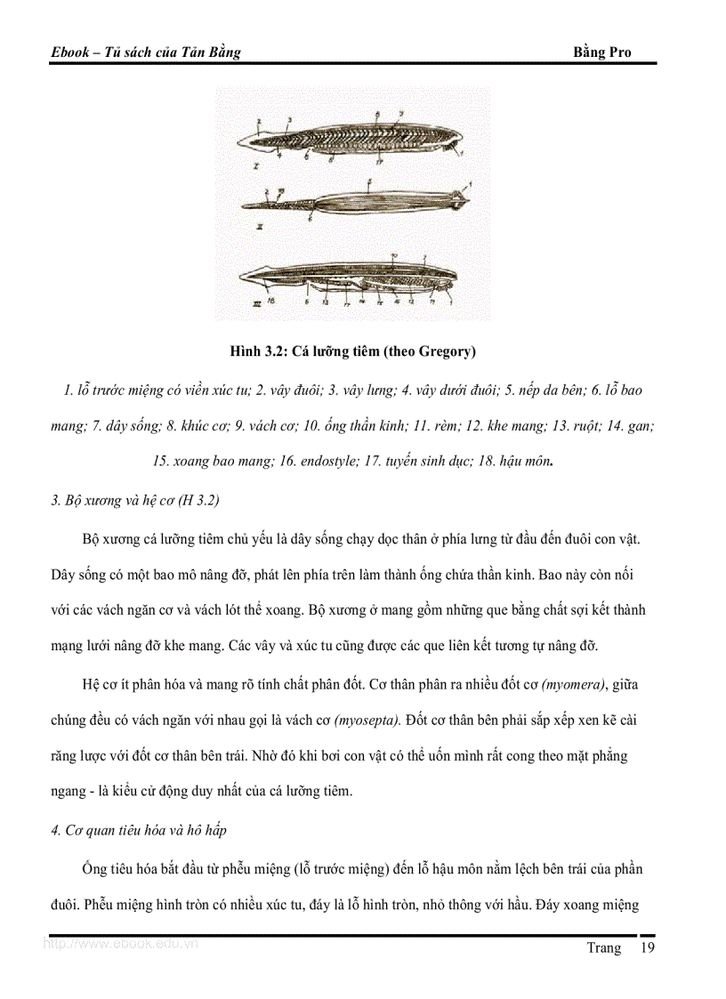 image for page Giáo trình DVKXS