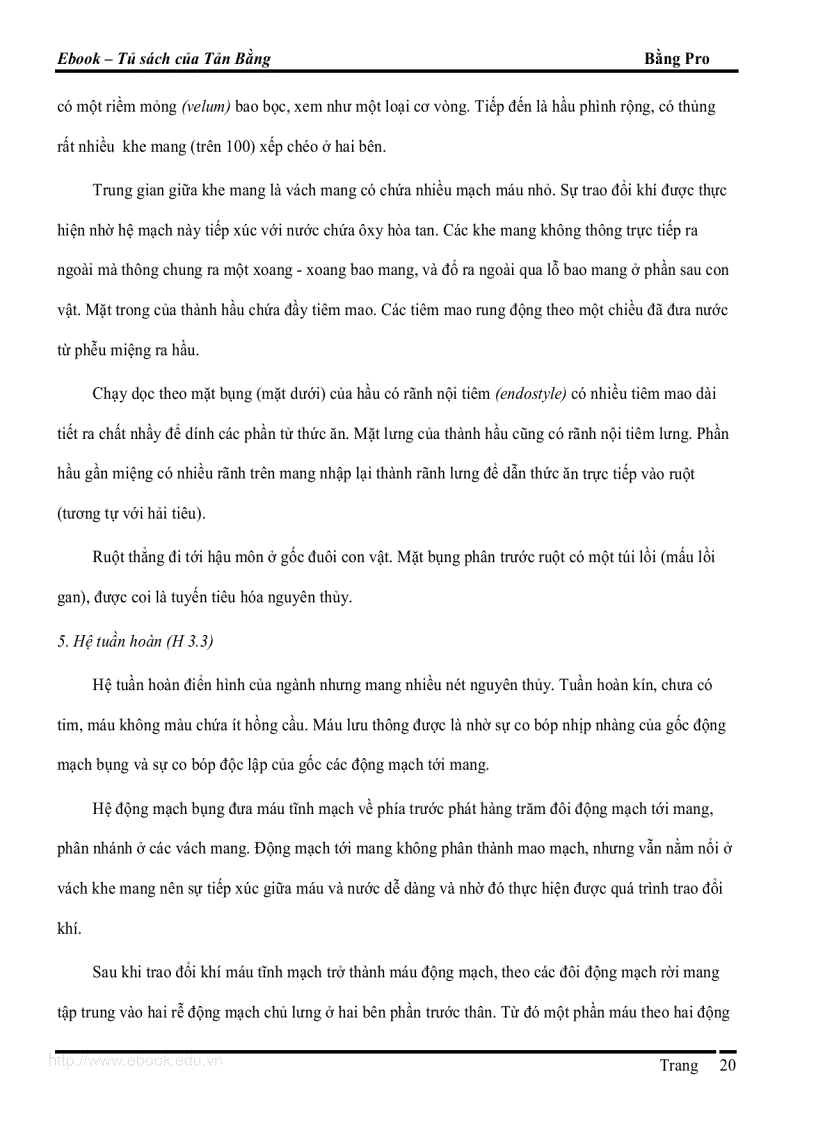 image for page Giáo trình DVKXS