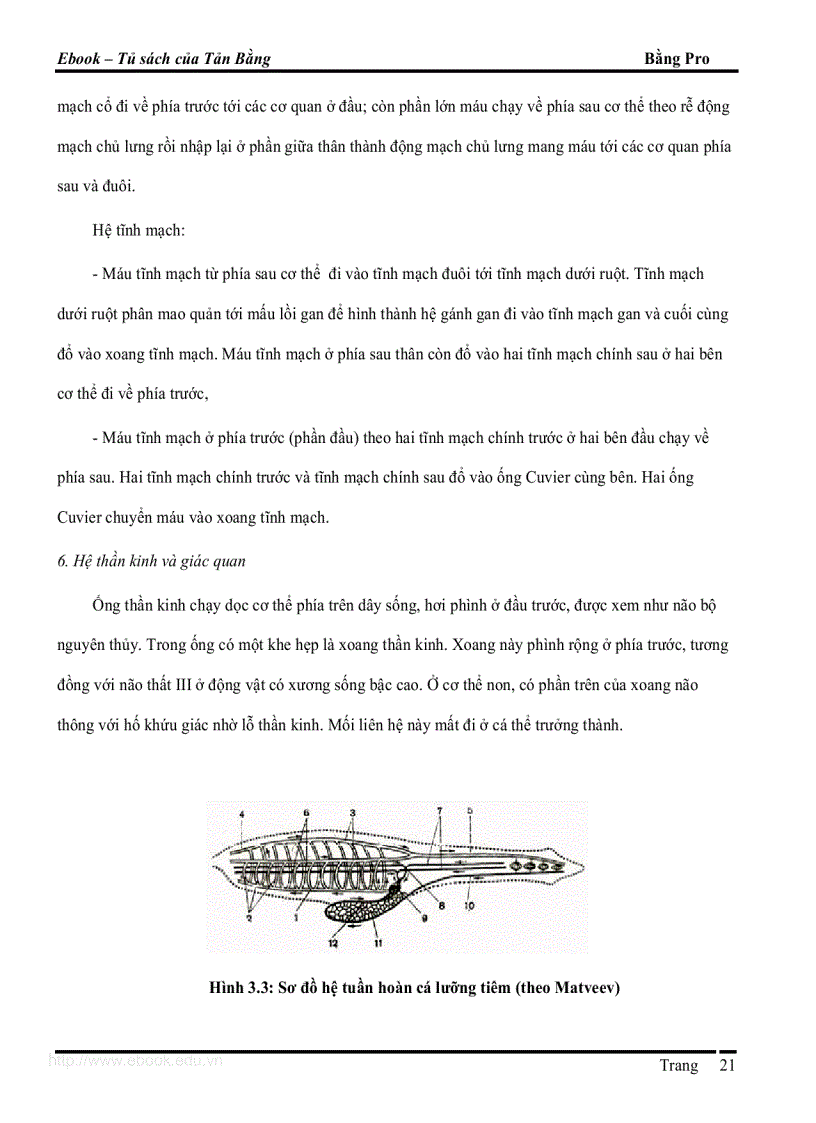 image for page Giáo trình DVKXS