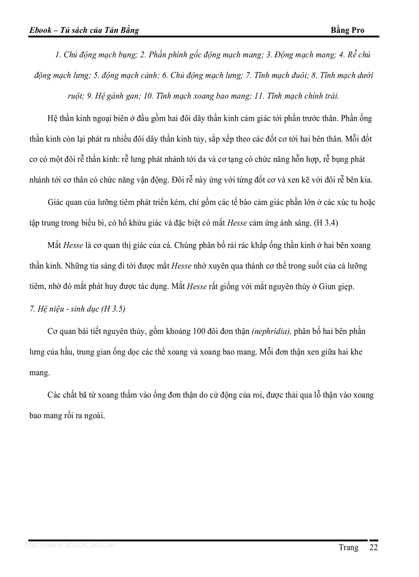 image for page Giáo trình DVKXS