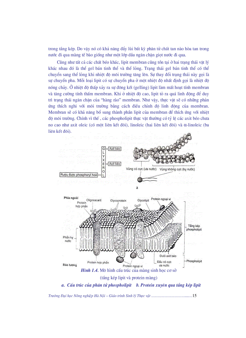 image for page Giao trinh sinh li thuc vat