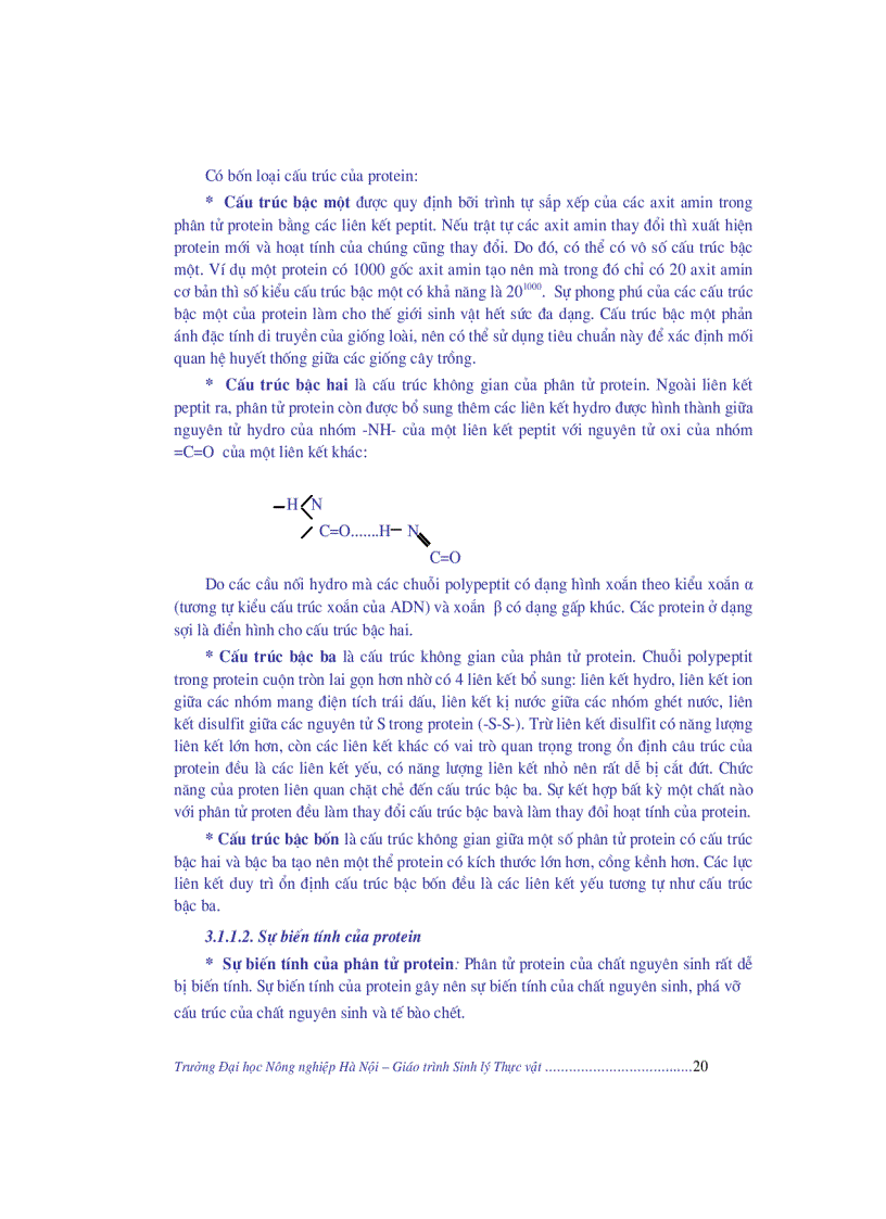 image for page Giao trinh sinh li thuc vat