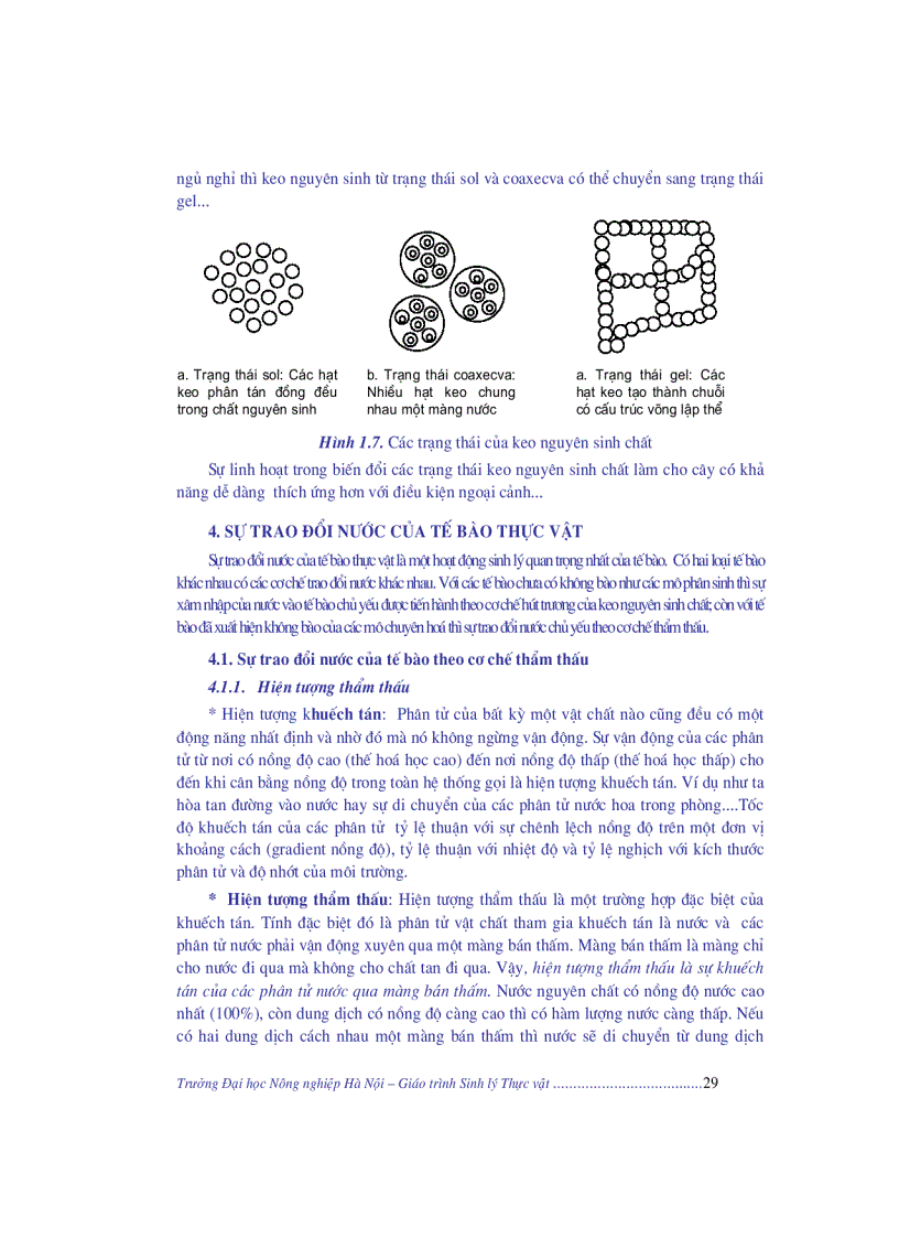 image for page Giao trinh sinh li thuc vat