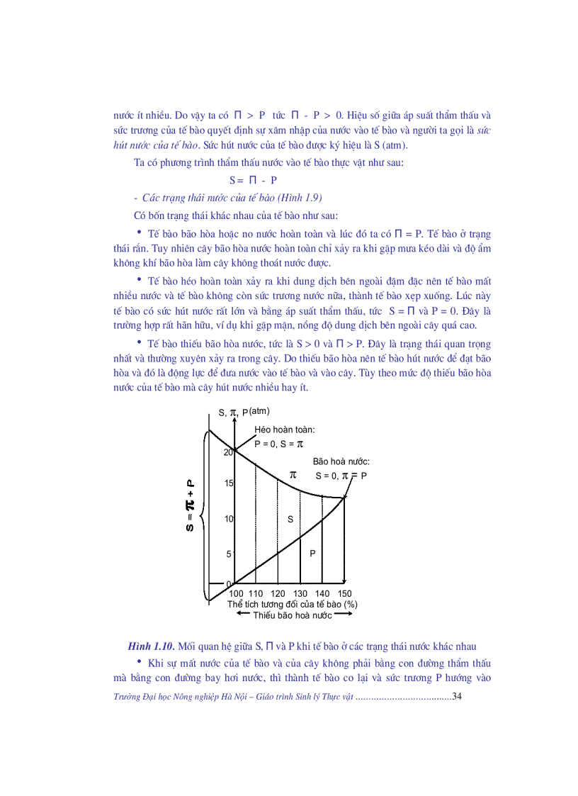 image for page Giao trinh sinh li thuc vat