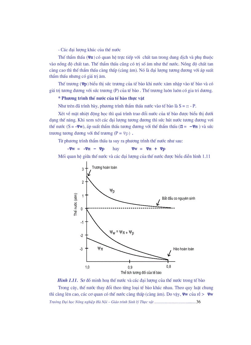 image for page Giao trinh sinh li thuc vat