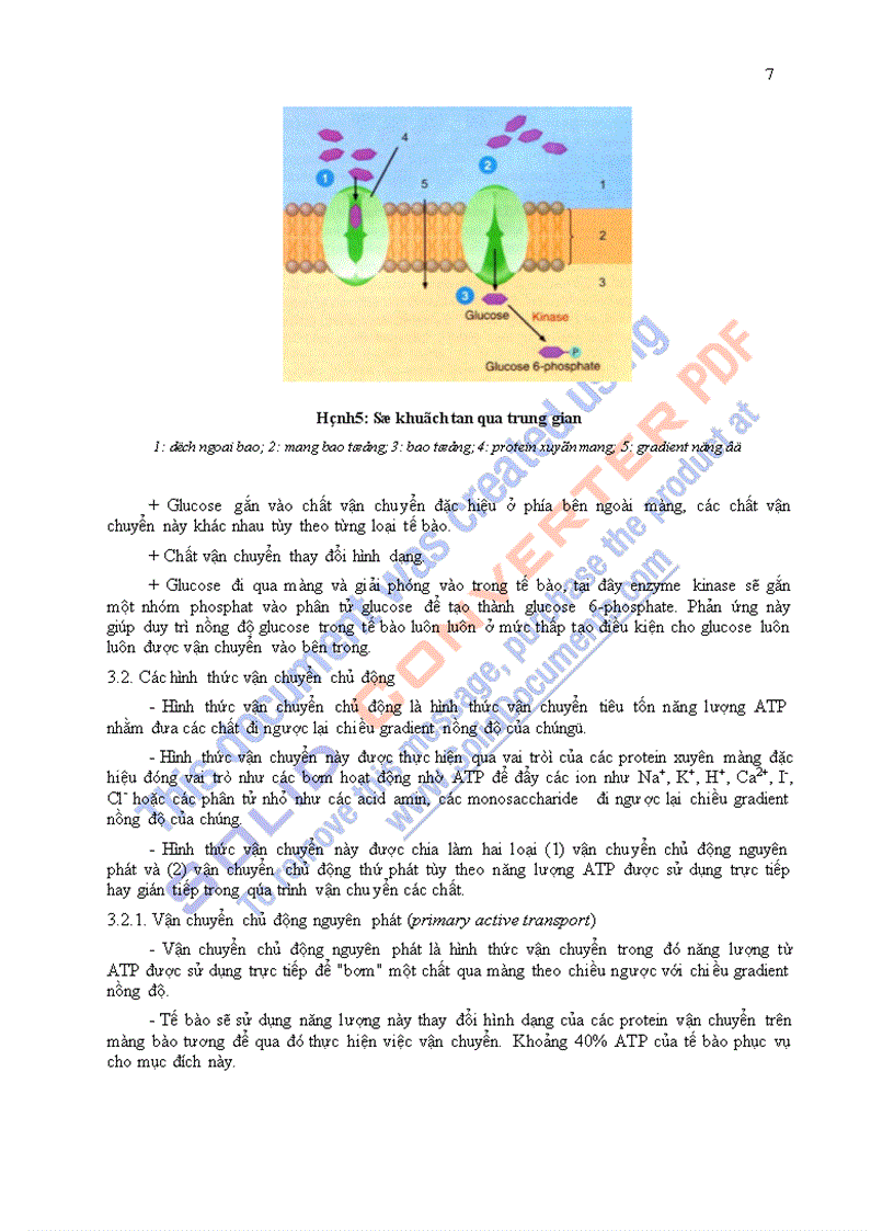 image for page Giáo trình sinh lý học chương 1