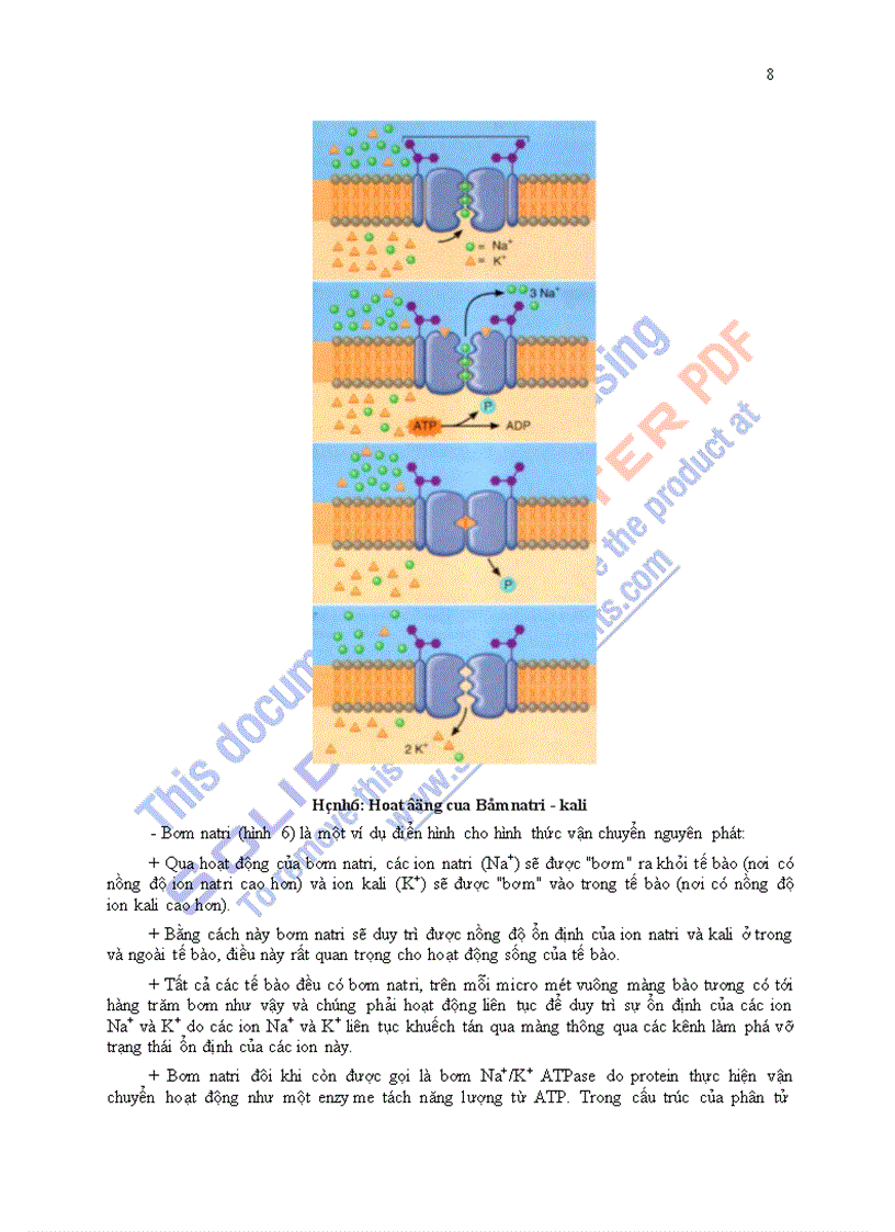 image for page Giáo trình sinh lý học chương 1