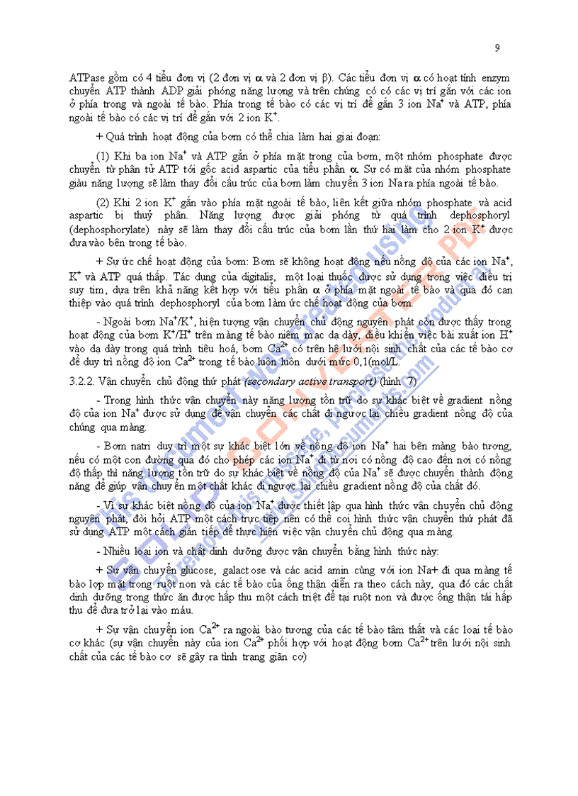 image for page Giáo trình sinh lý học chương 1