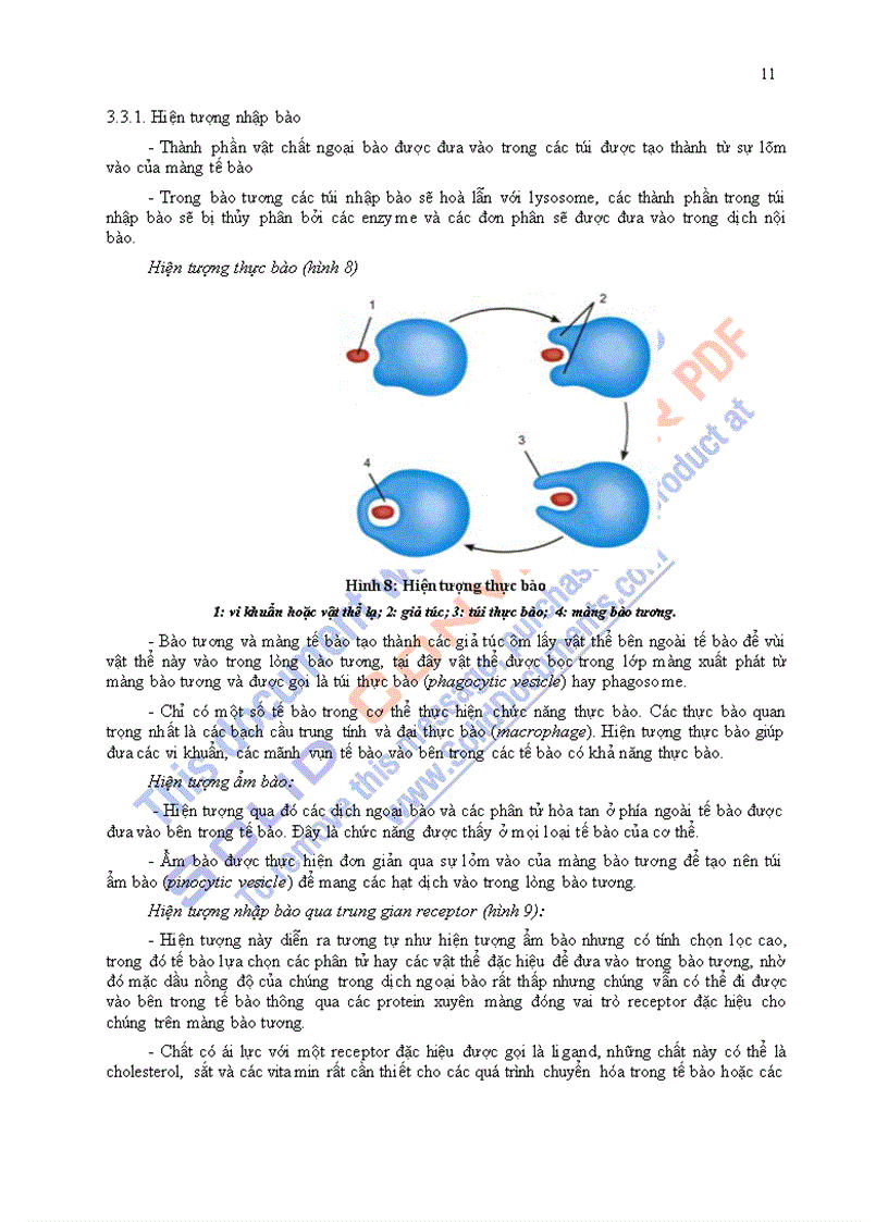 image for page Giáo trình sinh lý học chương 1