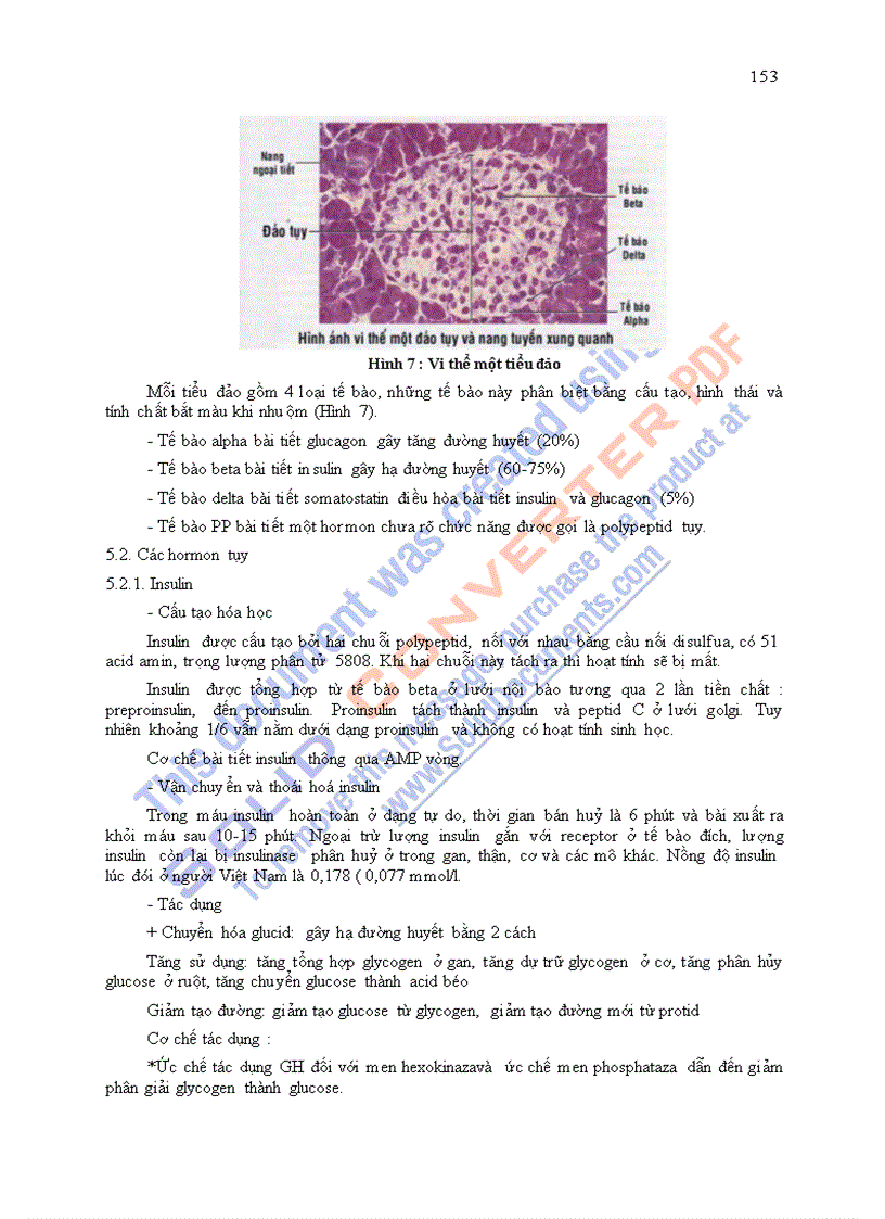 image for page Giáo trình sinh lý học chương 8
