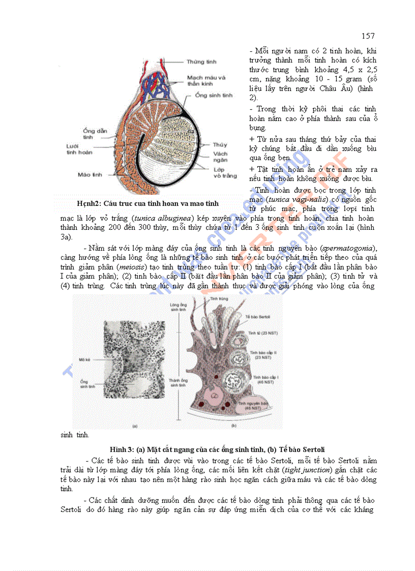 image for page Giáo trình sinh lý học chương 9