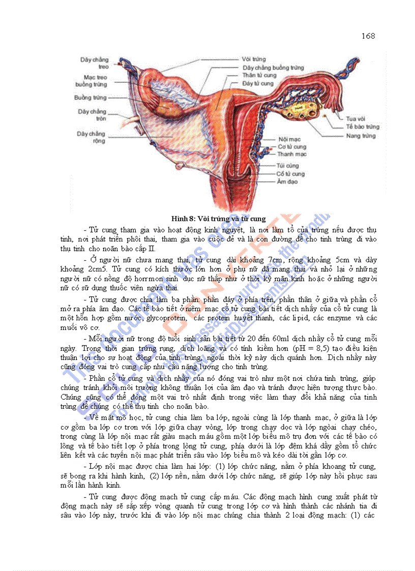 image for page Giáo trình sinh lý học chương 9