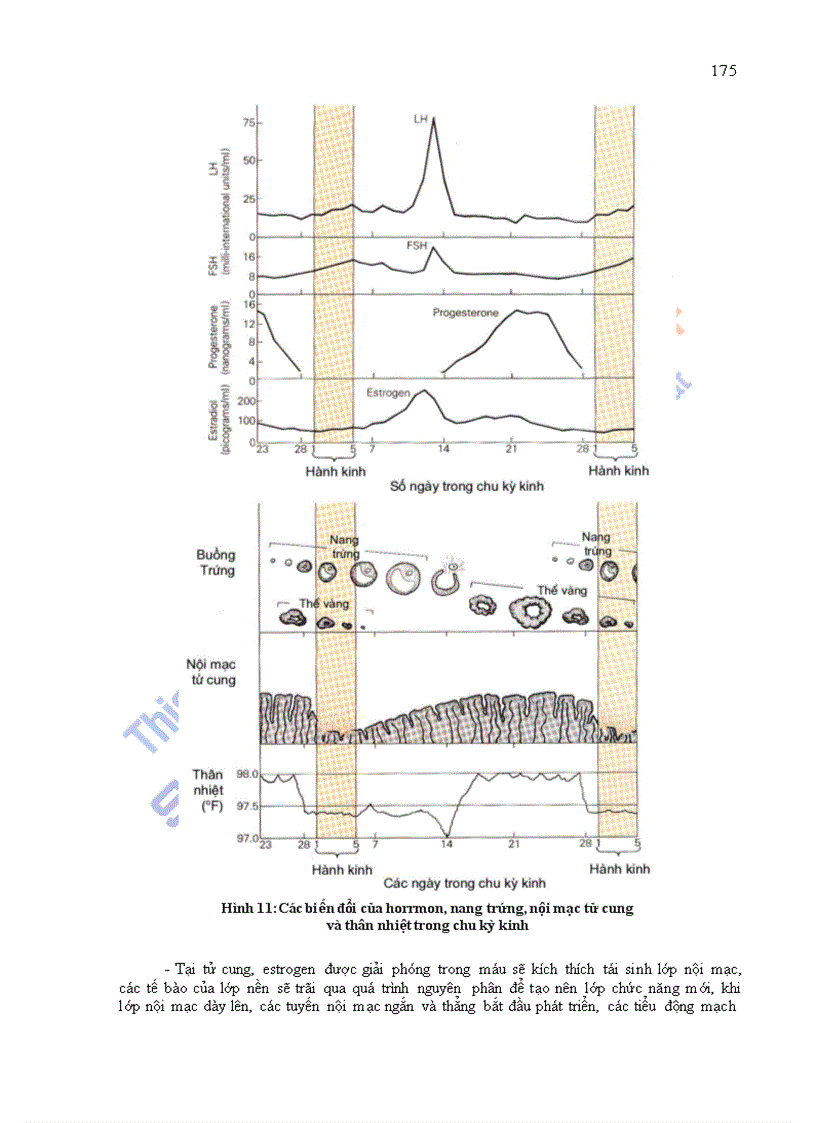 image for page Giáo trình sinh lý học chương 9