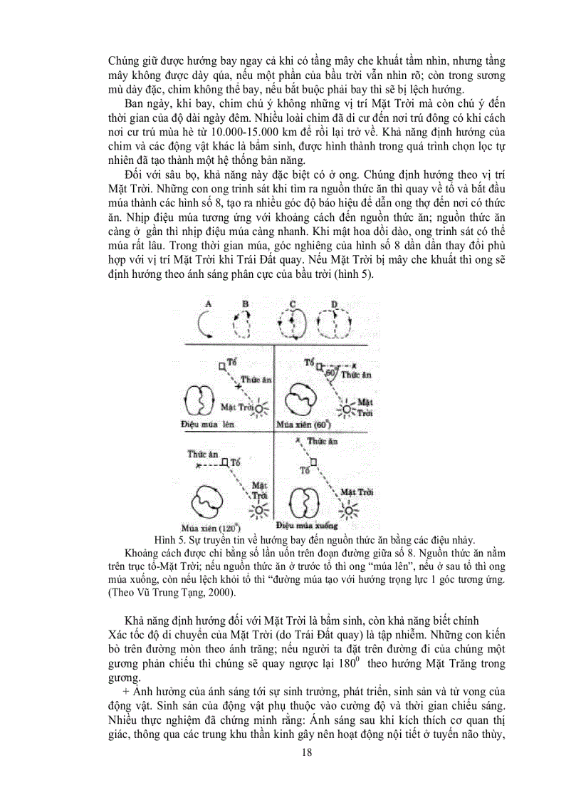 image for page Giáo trình Sinh thái học