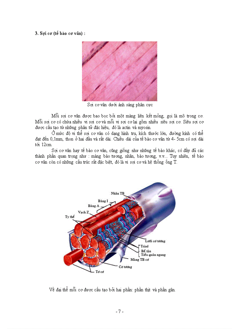 image for page Hệ cơ