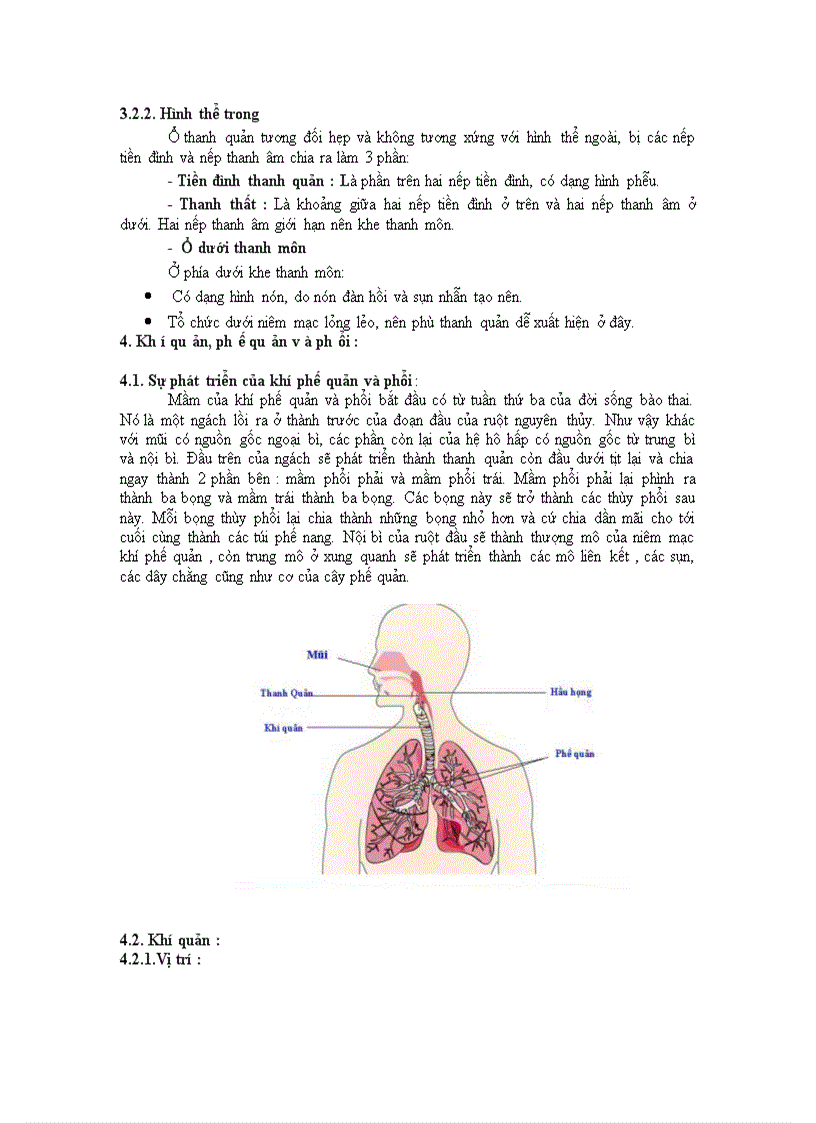 image for page Hô hấp