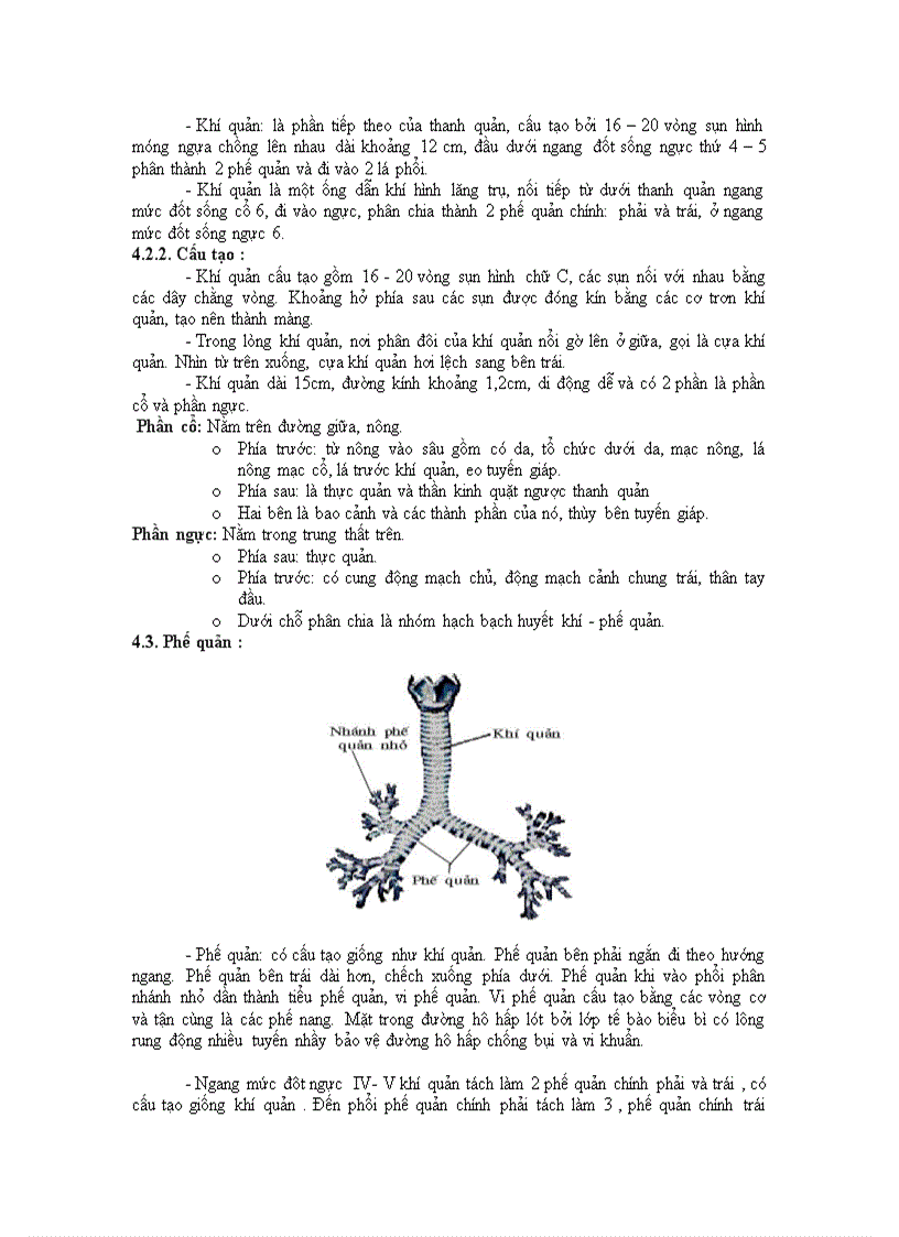 image for page Hô hấp
