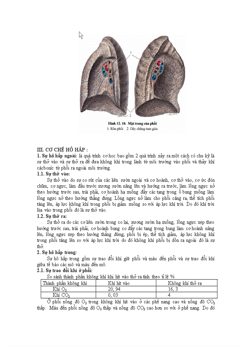 image for page Hô hấp