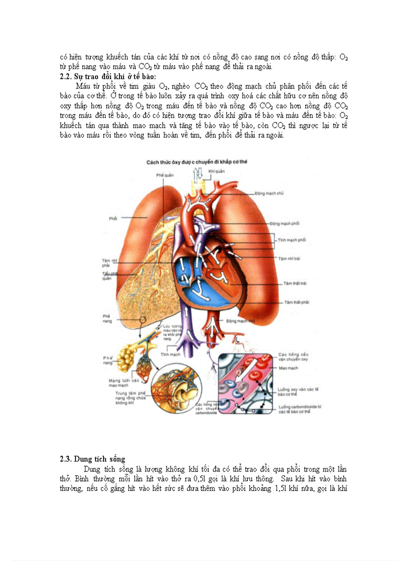 image for page Hô hấp