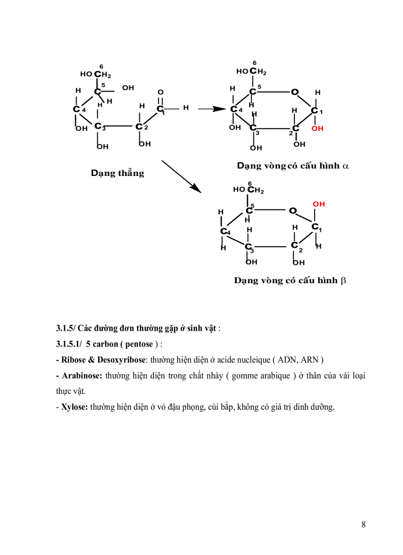 image for page Hoa sinh dai cuong