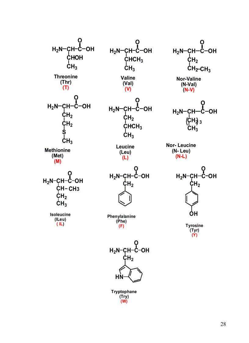 image for page Hoa sinh dai cuong
