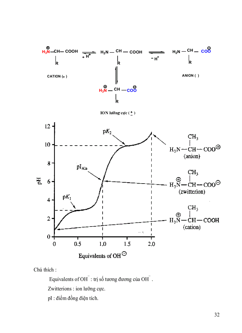 image for page Hoa sinh dai cuong