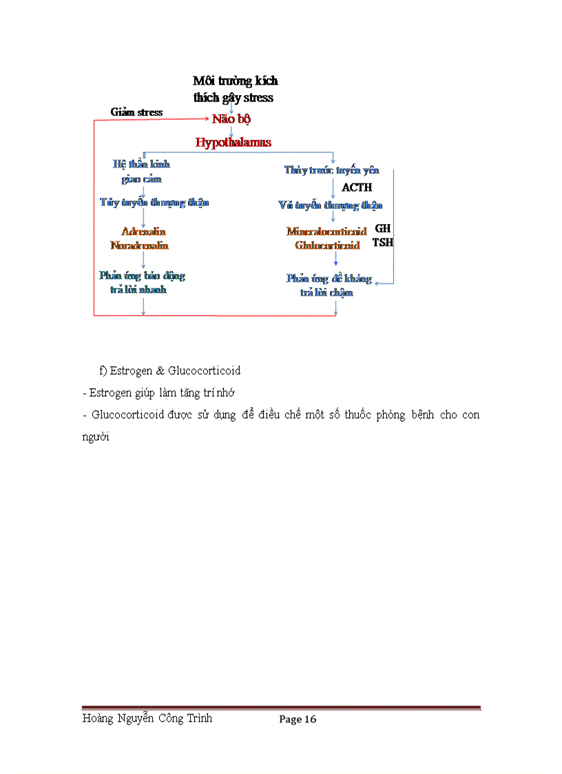 image for page Hormon tác dụng lên phản ứng phản xạ