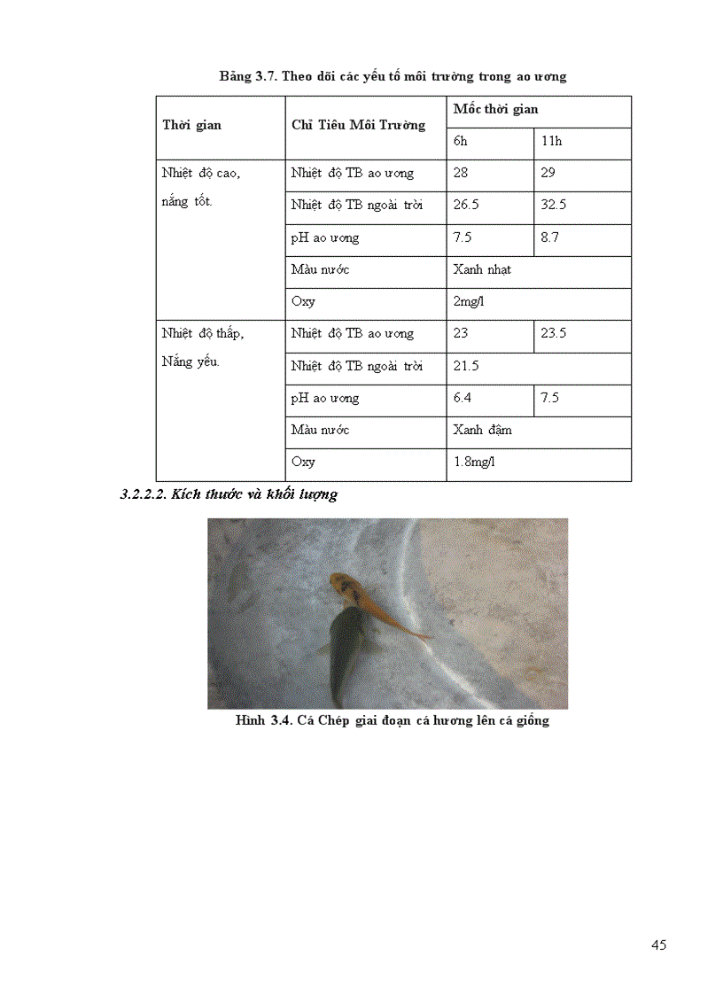 image for page Kỹ thuật sản xuất giống cá chép