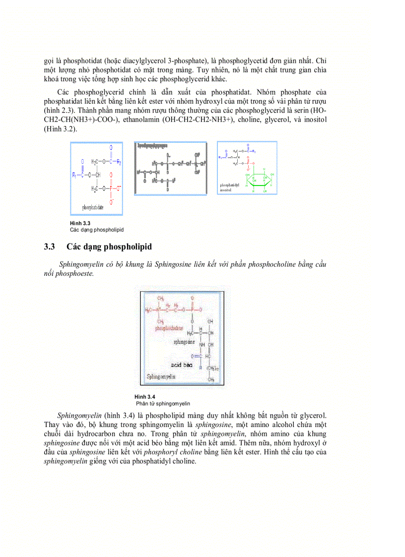 image for page Lipit