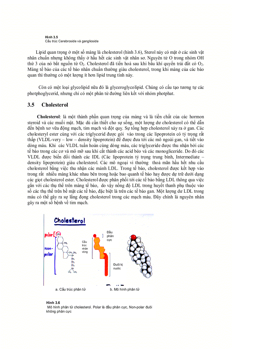 image for page Lipit