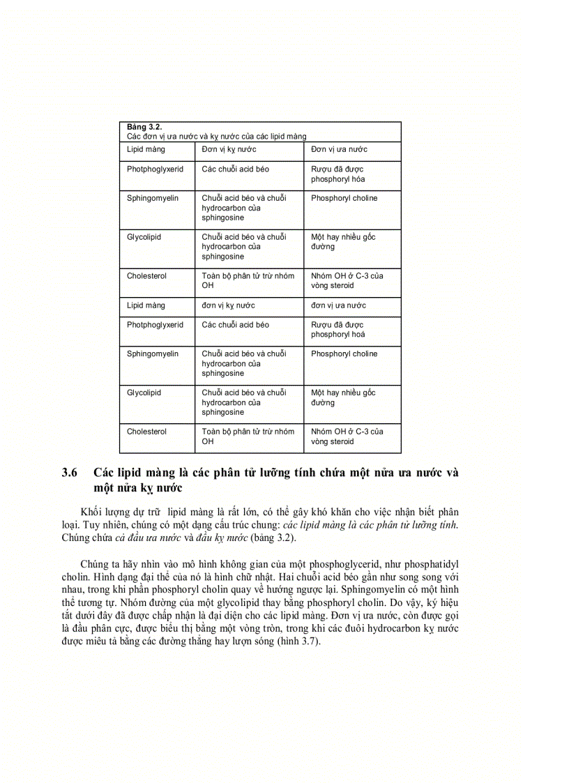 image for page Lipit