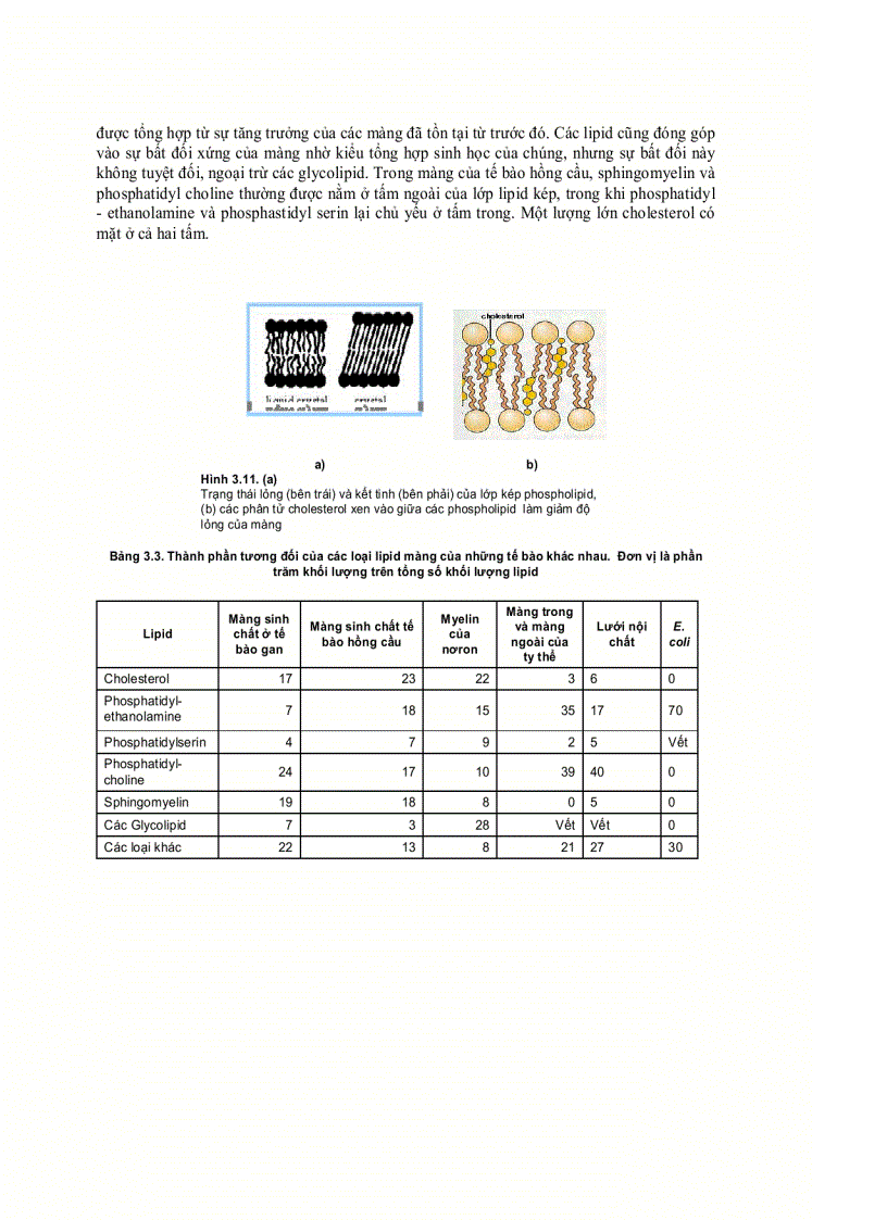 image for page Lipit