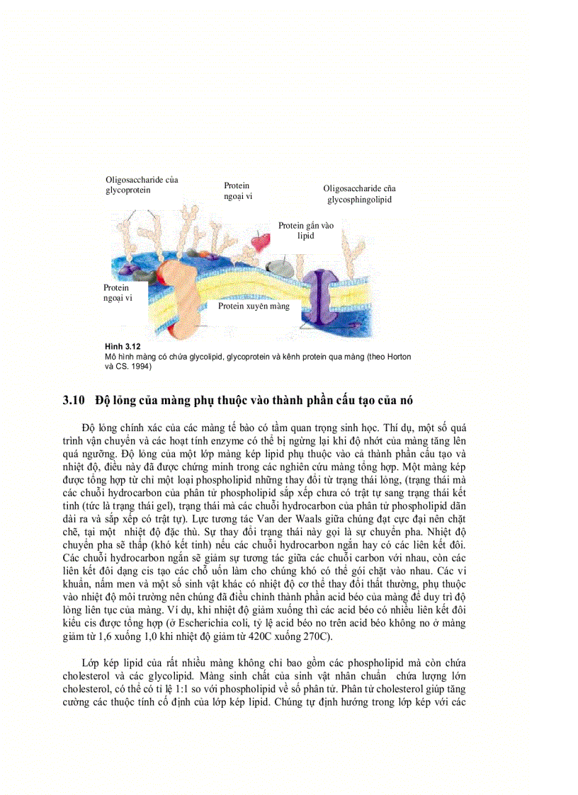 image for page Lipit